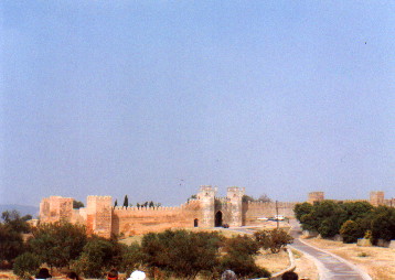 Outer walls of Chellah Necropolis