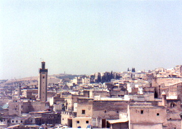 Karaouiyine Mosque in Fez