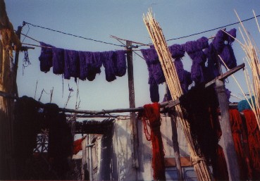 Dyers' souq (Fez)