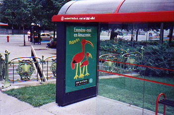 Bus Stop in Montréal